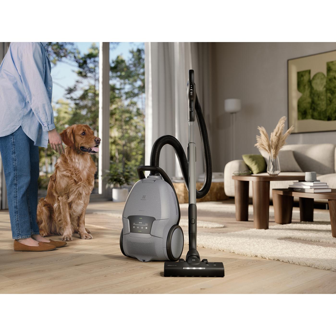 Electrolux Ultimate800™ Bagged Canister Vacuum EHVS80W5AG IMAGE 14